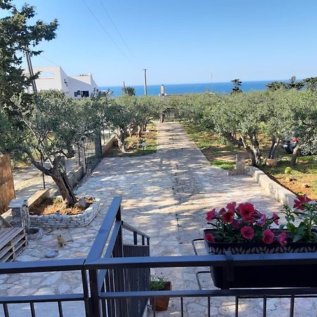 Villa L'Orizzonte Di Calabianca Castellammare del Golfo Kültér fotó
