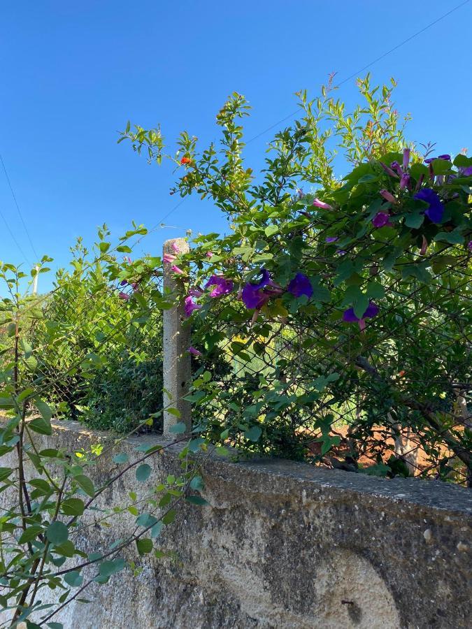 Villa L'Orizzonte Di Calabianca Castellammare del Golfo Kültér fotó