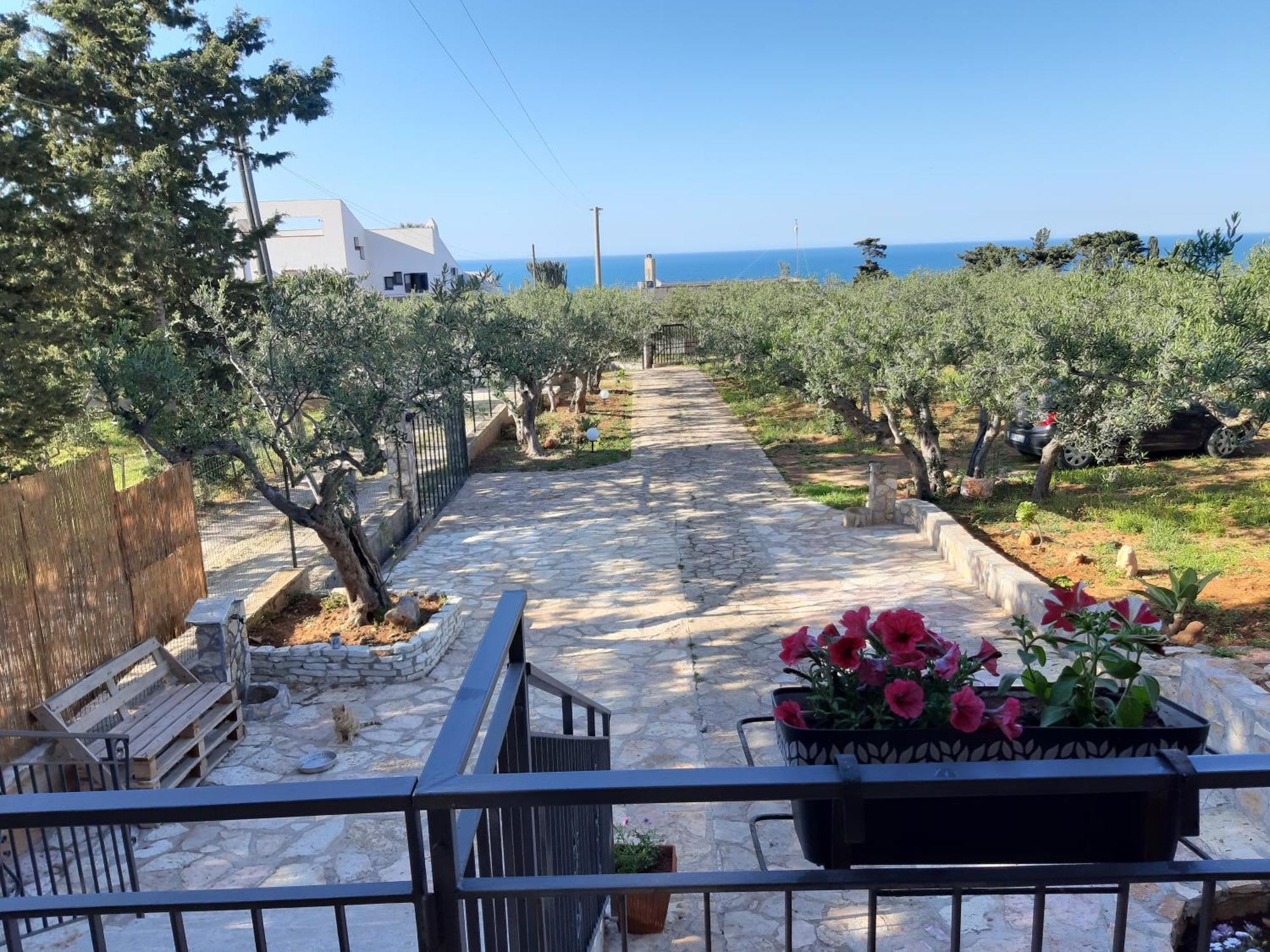 Villa L'Orizzonte Di Calabianca Castellammare del Golfo Kültér fotó