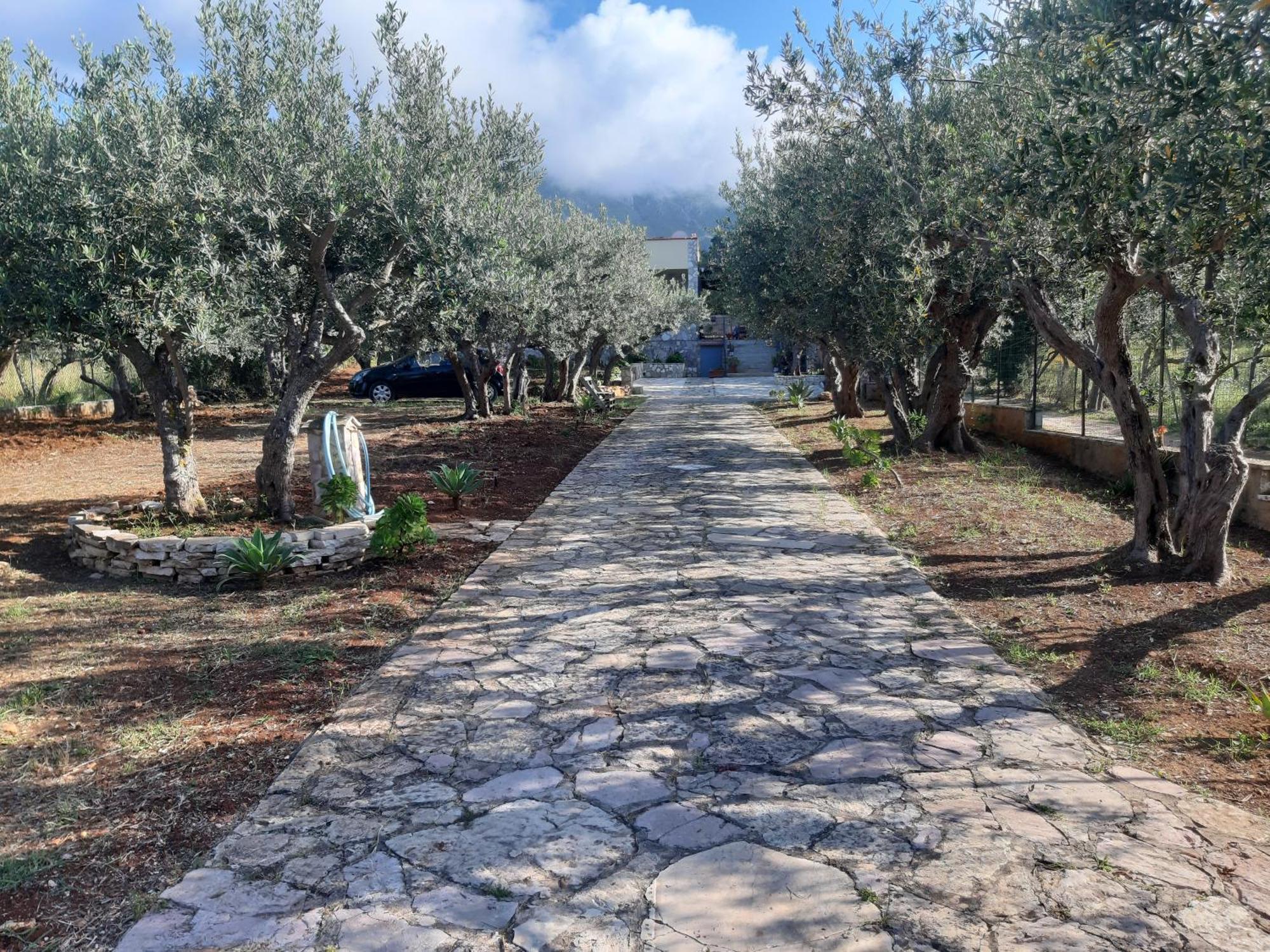 Villa L'Orizzonte Di Calabianca Castellammare del Golfo Kültér fotó