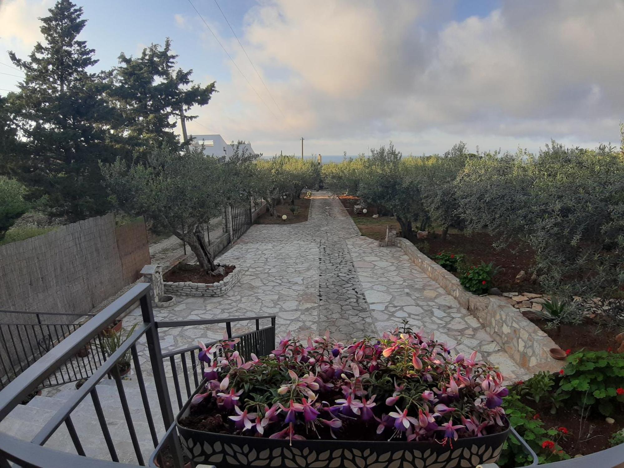 Villa L'Orizzonte Di Calabianca Castellammare del Golfo Kültér fotó