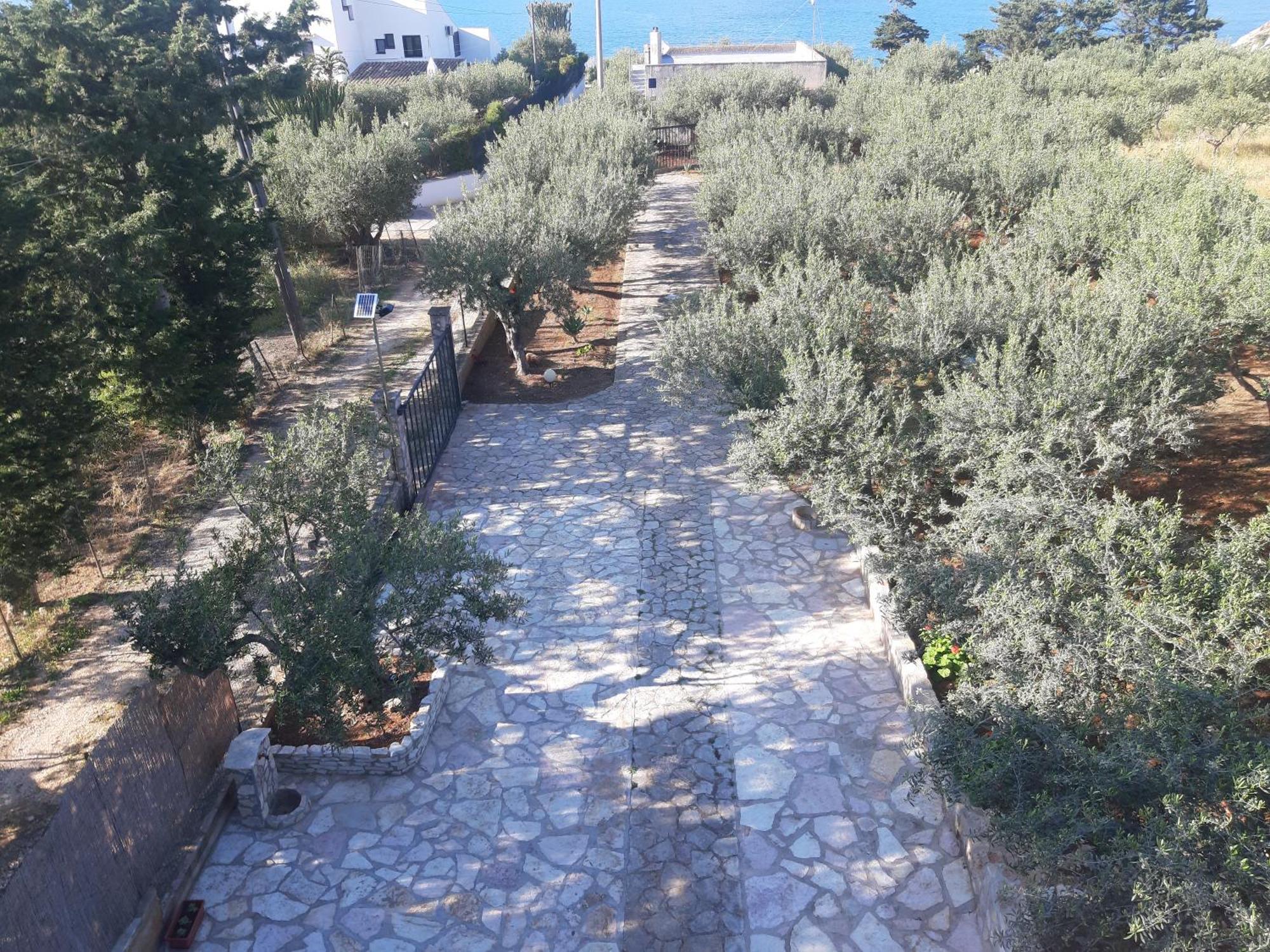 Villa L'Orizzonte Di Calabianca Castellammare del Golfo Kültér fotó